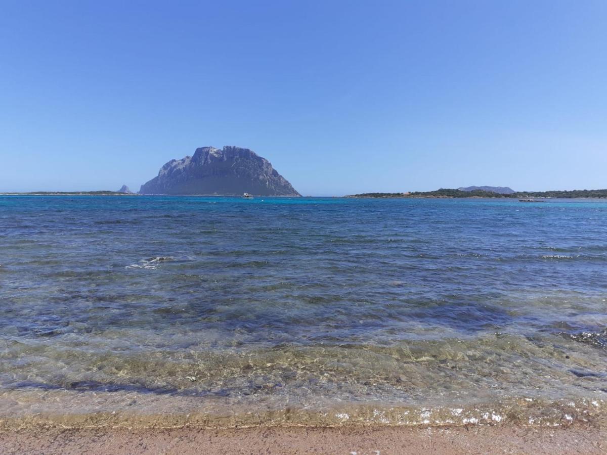 Siisa Appartamento La Muddizza Valledoria A 500 Mt Dal Mare ภายนอก รูปภาพ