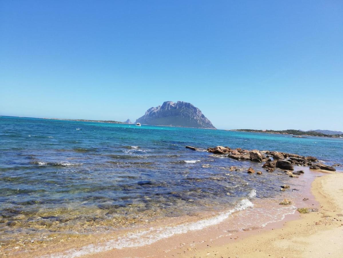 Siisa Appartamento La Muddizza Valledoria A 500 Mt Dal Mare ภายนอก รูปภาพ